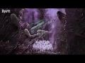 Infant Annihilator Soil The Stillborn Lyric Video