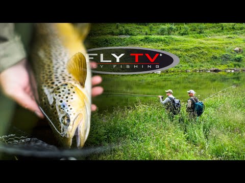 FLY TV - Mit der Trockenfliege auf Bachforellen in Norwegen