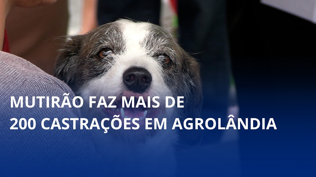 Mutirão faz mais de 200 castrações em Agrolândia