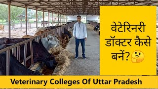 uttar pradesh veterinary colleges ||BVSc & AH || Admission || UPCATET || Qualifications