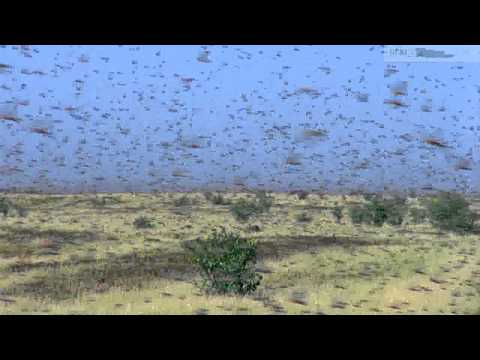 mixPlanet Earth E05 720p BluRay 2AUDIO x264 NsC