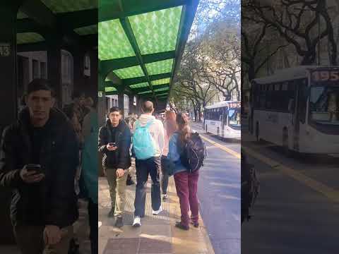 METROBUS PASEO COLON #shorts #short #tourism #buenosaires #argentina #streetwalk #viral #walk