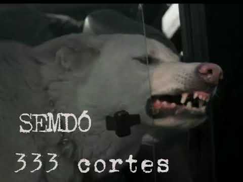 SEMDÓ – 333 Cortes (legenda)