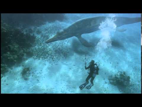 Sea Monsters ~ Cymbospondylus