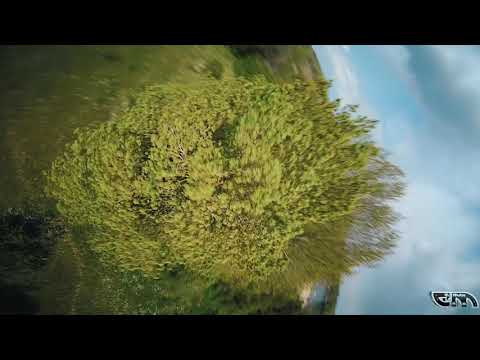 ElMute FPV - Best Cow field Ever - Music: COEO - Like It Is - Mixed