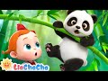 Baby Panda Is Here Cute Animal Song For Kids LiaChaCha