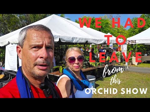Redland International Orchid Festival 2024. This is why we did not like it and had to leave.