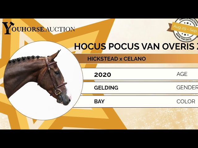 Hocus Pocus Van Overis Z @ the show