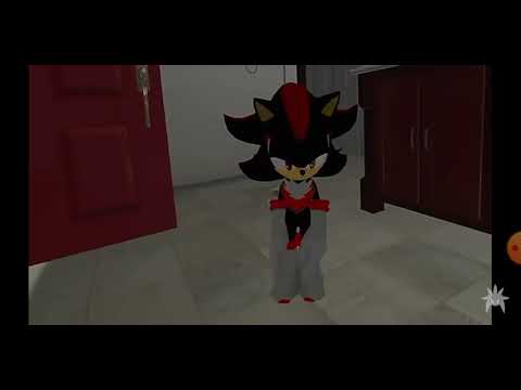 Silver and sonic meet Shadina in vrchat ( THE TORCHER)