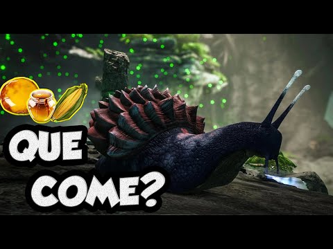 QUE COMEN LAS BEBE ACHATINA? COMO ALIMENTARLA GRAN ACTUALIZACION DE ARK
