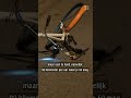 TAAKSTRAF van 100 uur voor DOODRIJDEN 25-jarige FIETSER | #shorts
