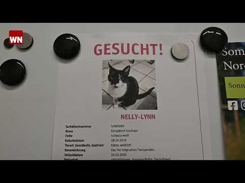 Animal Shelter North District Coesfeld: A Look Behind the Scenes - YouTube