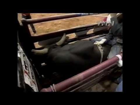 Rampage bucks Jason Bennett - 00 PBR Houston