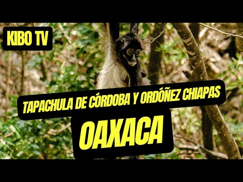Tapachula de Córdoba y Ordóñez Chiapas a Matías Romero Oaxaca México Kibo TV