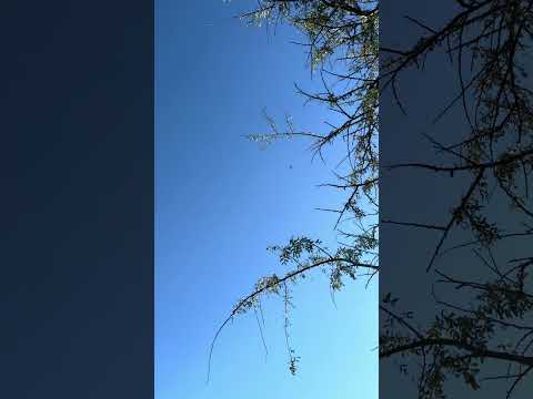 Avión sobrevolando dique el Cadillal en Tucumán