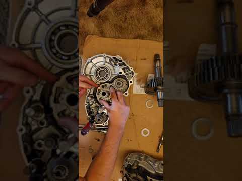 Talon reverse gear swap pioneer 1000