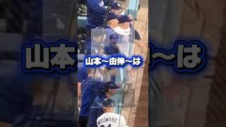 「デイトナ」山本由伸を応援するスクーバル•スネル•ラッシング