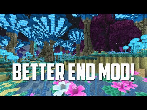 NEW Stunning Biomes in Minecraft's End Dimension!