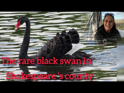 The Oldest Pub and a Rare Sight in Stratford-upon-Avon…