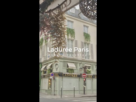 Por dentro da Maison Ladurée, Paris! Comprando Macarons | ​⁠#paris #paristour #parisvibes #laduree