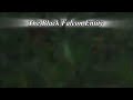 Bright Orb, Black Father Falcon, Orbs, Orb Flashes Talking Truth About Humanity's History 03/03/25