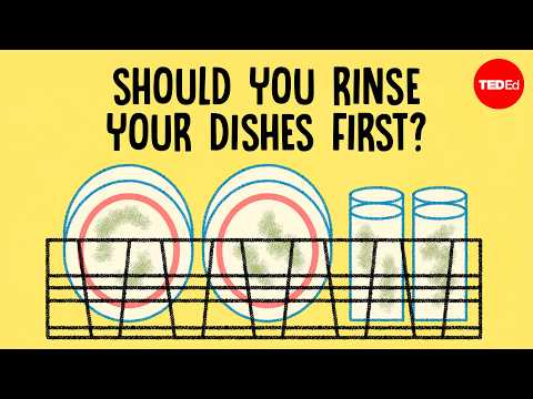 How to Wash Your Dishes Properly