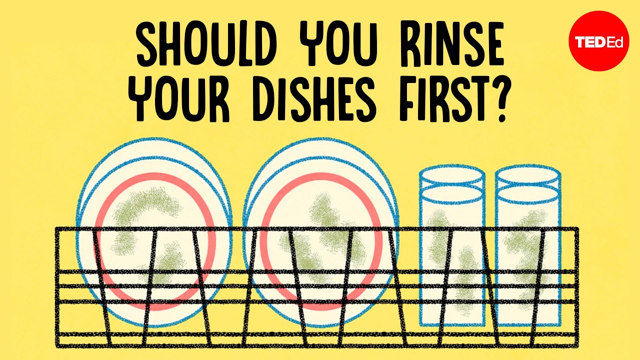 What’s happening inside a dishwasher? - Rachel Yang