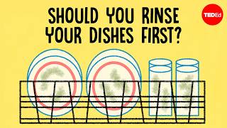 What’s happening inside a dishwasher? - Rachel Yang