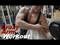 19 yo Natural Bodybuilder - Arm Workout - Biceps & Triceps