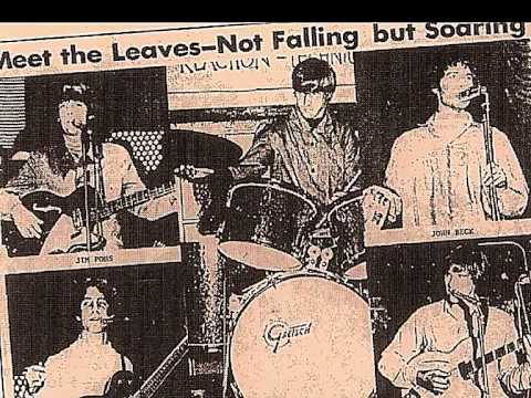 THE  LEAVES  ¨Get  Out  Of  My  Life  Woman ¨