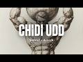 Chidi Udd Slowed Reverb Gippy Grewal Panchhi 2 RAAG DROPZ Dark Narrative