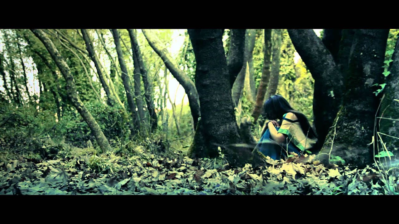 The Dragonphoenix Chronicles: Indomitable -  Teaser Trailer #1  [HD]