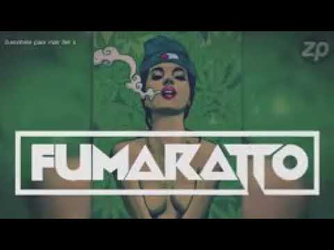 Fumaratto ...style ANTRO , aleteo ,zapateo , guaracha