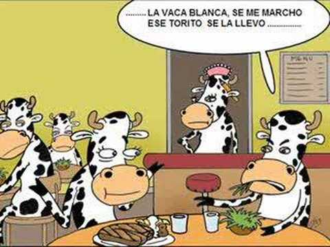 LOS GIRASOLES, LA VACA BLANCA