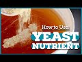 YEAST NUTRIENT: What even is it?! [Home Brewing Basics]