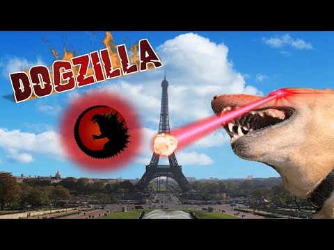 Dogzilla Unleashing A Fiery Wrath For 1 Minute And 8 Seconds Straight