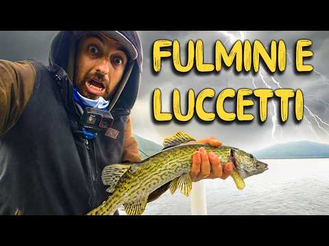 PIKE FESTIVAL – Spinning for perch (with unexpected guests in the finale 👀)