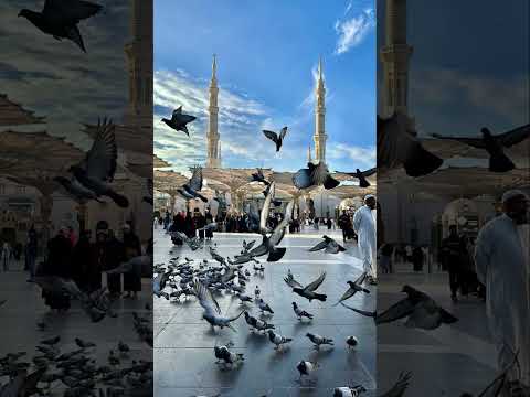 #madinalagdaayepyara#naseebakholdamera# #love #naatstatus #100kview #1Milionsubscribers