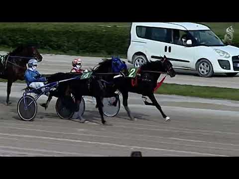 Aversa trotto 19 Febbraio 2022 - 1° Corsa