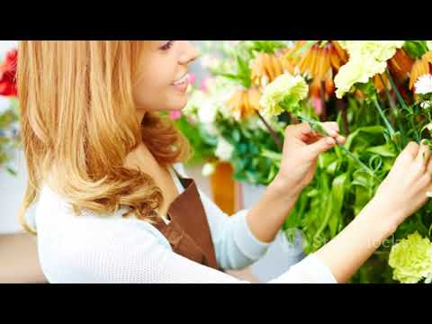 Bloom with Success A Quick Guide