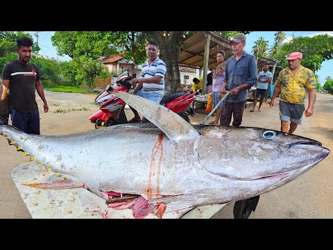 Fabulous!! Giant  Fishes in Village Street Cart In Amazing Sri Lanka