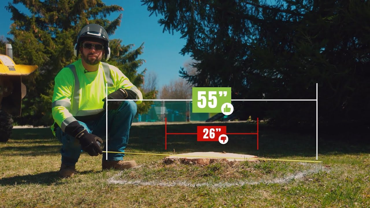 GrindNGo Stumps: Stump Grinding Estimates