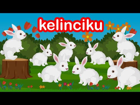 Lagu Kelinciku Kelinciku Kau Manis Sekali - Lagu Anak Populer