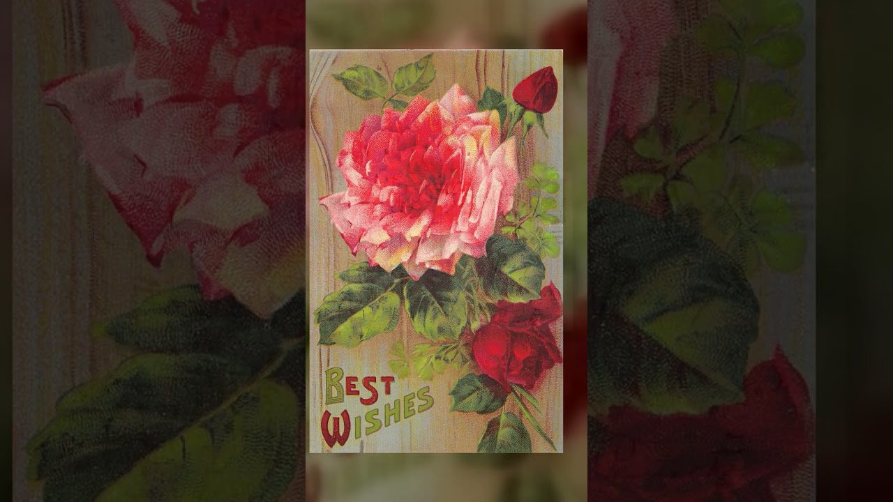 Series 5100, Linen Postcard, Best Wishes Floral Design, 1912 Postmark Video