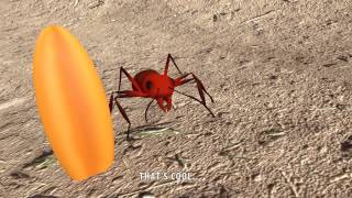 preview picture of video 'Ant and The Grasshopper - Arena Animation Mysore, Students Works'