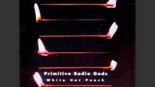 Primitive Radio Gods - Skin Job