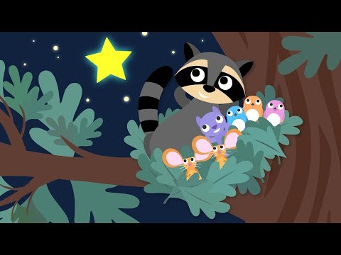 Treetop Family - Slumber Party - Vocabulary