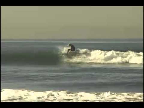 Dizm Dayz with Animal Style - Introducing Tosh Townend