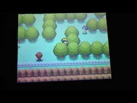 Pokèmon Oro Heart Gold-La cattura di Suicune-Personaggio SPEED.AVI