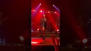 Miranda! Fantasmas en vivo Niceto club